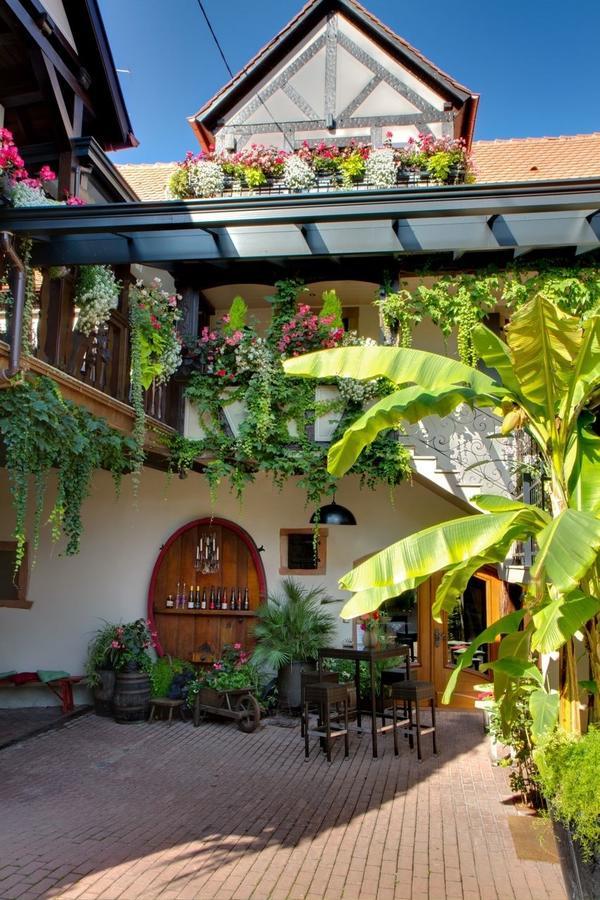 Gîte FLEUR DE VIGNES Itterswiller Eksteriør billede