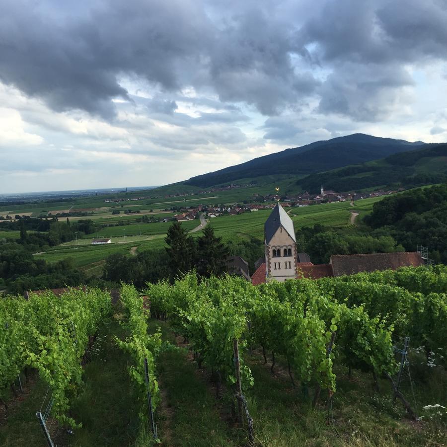 Gîte FLEUR DE VIGNES Itterswiller Eksteriør billede