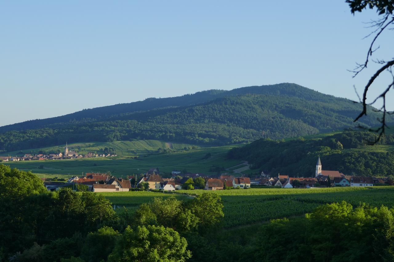 Gîte FLEUR DE VIGNES Itterswiller Eksteriør billede